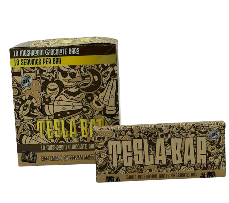 WhatsApp Image 2025-12-18 at 10.55.33 PM